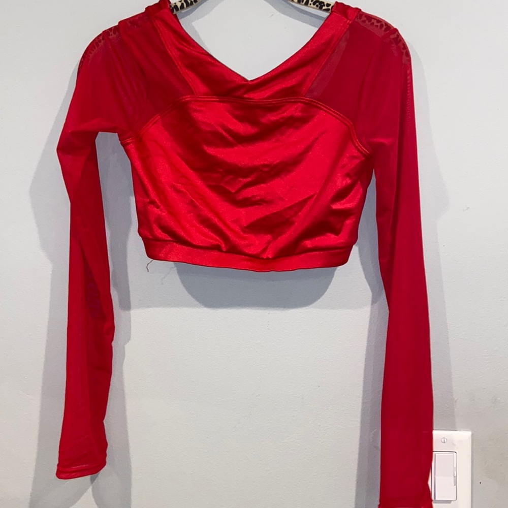 Long Sleeve Cropped Mesh Top